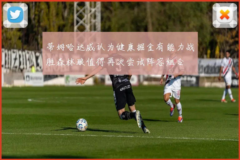 蒂姆哈达威认为健康掘金有能力战胜森林狼值得再次尝试阵容组合